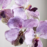Luxury Butterfly Orchid "Real Touch" - Lavender