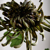 Large Chrysanthemum - Dark Green