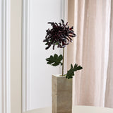 Large Chrysanthemum - Bordeaux