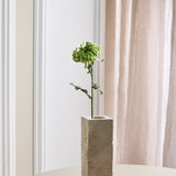 Chrysanthemum Dahlia Flower - Green