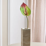 Large Flamingo Anthurium - Green