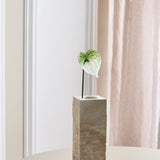 Small Anthurium Flower - Dark Green/White