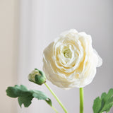 Luxury Ranunculus Flower "Real Touch" - White