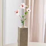 Butterfly Ranunculus - Light Pink