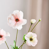 Butterfly Ranunculus - Light Pink