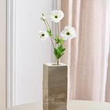 Butterfly Ranunculus - White