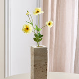 Butterfly Ranunculus - Butter Yellow