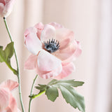 Anemone Flower - Pink