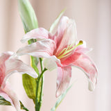 Lily Flower - Pink