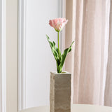 Monet Parrot Tulip - Pink