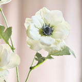 Anemone Flower - White