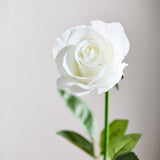 Long Stem Rose - White
