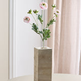 6-Headed Ranunculus - Light Pink