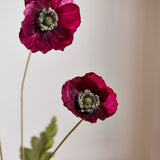 Poppy Flower - Vintage Bordeaux