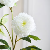 Peony Flower - White