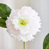 Peony Flower - Light Pink