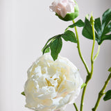Luxury Peony Flower "Real Touch" - Light Pink