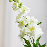 Delphinium Flower - White