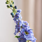 Delphinium Flower - Purple