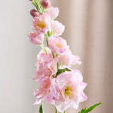 Delphinium Flower - Pink