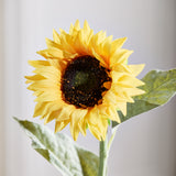 Sunflower - Warm Yellow