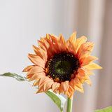 Sunflower - Burnt Orange