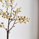 Berry Branch - White