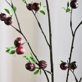 Berry Branch - Bordeaux