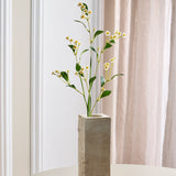 Chamomile Daisy Flowers - White