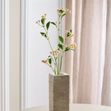 Chamomile Daisy Flowers - Pink