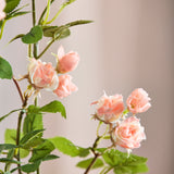 18 heads Rose - Light Pink