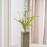 Salvia Flower - White