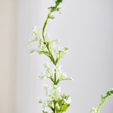 Salvia Flower - White