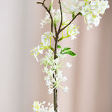 Pile Græn "Fontanesia" - Hvid