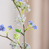 Pile Græn "Fontanesia" - Blå