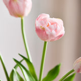 Luxury Tulip Bouquet - Light Pink