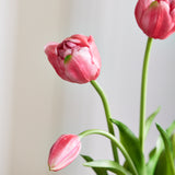 Luxury Tulip Bouquet - Dark Pink