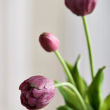 Luxury Tulip Bouquet - Bordeaux