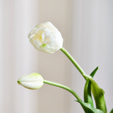 Luxury Tulip Bouquet - White