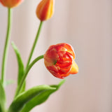 Luxury Tulip Bouquet - Orange