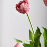 Luxury Tulip Bouquet - Light Purple