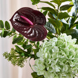 LIMITED EDITION: Pop of Bordeaux