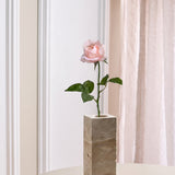 Long Stem Rose - Light Pink