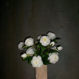 Grand Peony Bouquet - White