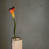 Calla Lily Flower - Orange