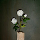 Grand Peony Bouquet - White