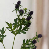 Eryngo Flower - Purple