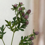 Eryngo Flower - Bordeaux