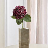 Luksus Hortensia - Støvet Bordeaux