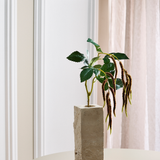 Amaranthus 2 Branches Foliage - Bordeaux